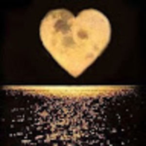 Meet your Posher, Pauline